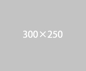 300x250